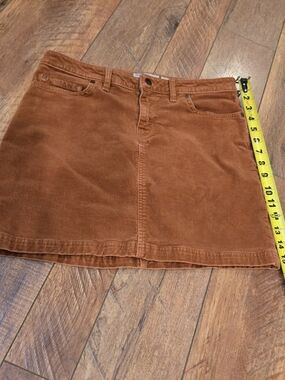 Patagonia Corduroy Mini Skirt in Rust Brown/orange
